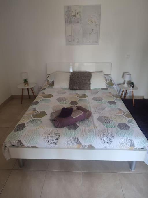 Appartement Romana Puissalicon 34 Esterno foto